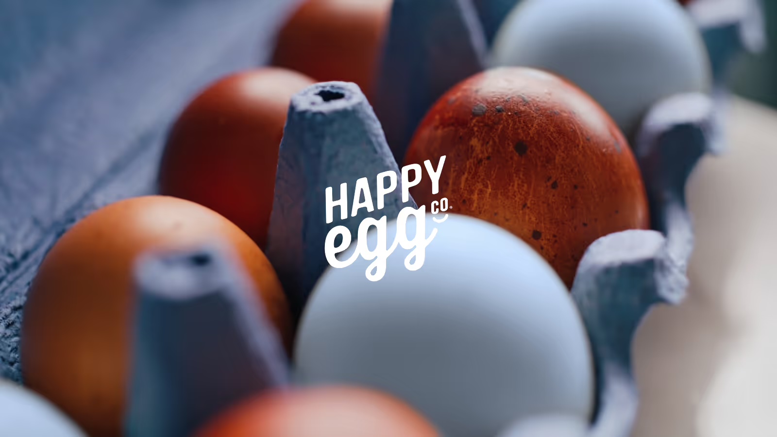 Happy Egg